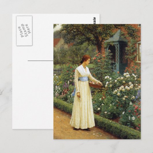 Het lot van het Roos olieverfschilderij Briefkaart (Voorkant / Achterkant)