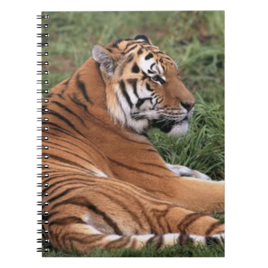 Het Lounging van TIger op het Notitieboek van Gras (Voorkant)