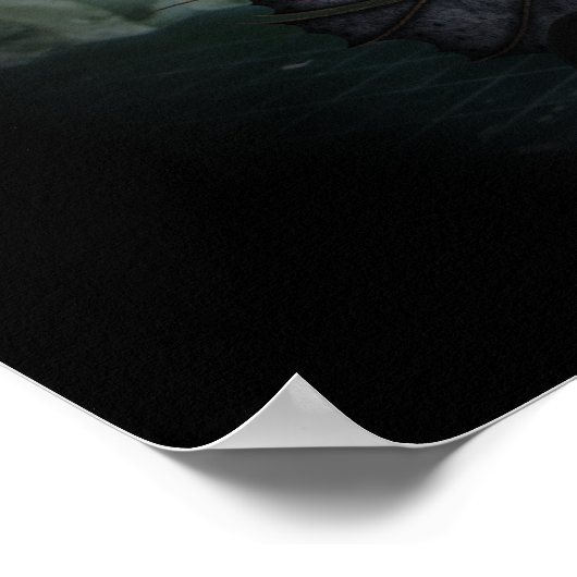 Het luchtvignet van de Dragon Poster (Hoek)