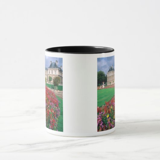 Het Luxemburgse paleis in Parijs, Frankrijk. Mok (Midden)