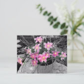 Het Magical Fairy Lily Briefkaart (Staand voorkant)