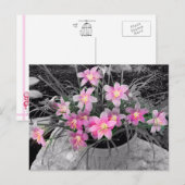 Het Magical Fairy Lily Briefkaart (Voorkant / Achterkant)