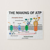 Het maken van ATP-fotosynthetische houding Legpuzzel (Horizontaal)