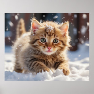 *~* Het maken van Sneeuwbal Kat 5:4 Kitten Cat AP6 Poster
