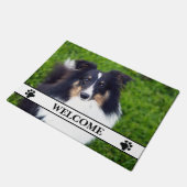 Het Malplaatje van de Foto van Dog met Vensters en Deurmat (Schuin)