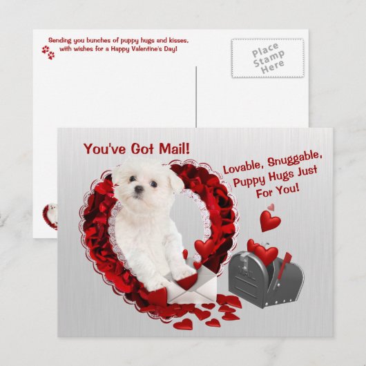 Het Maltese Jong u heeft de Omhelzingen Valentijn Feestdagenkaart (Voorkant / Achterkant)