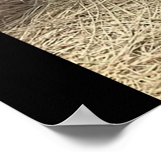 HET MAN CAVE POSTER (Hoek)