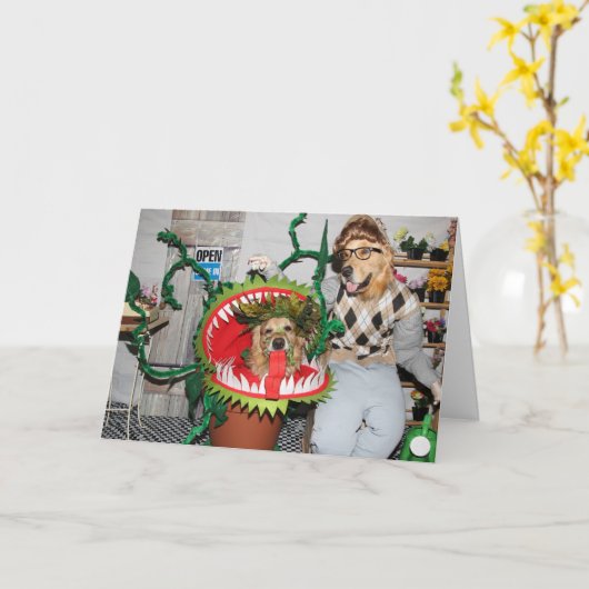 Het Man die van Halloween van het golden retriever Kaart (Gele Bloem)