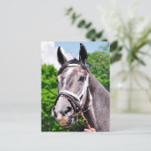 Het Man van één koning Briefkaart (Staand voorkant)