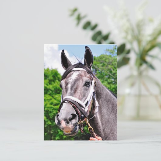 Het Man van één koning Briefkaart (Staand voorkant)