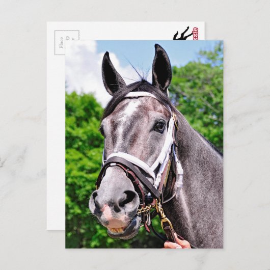 Het Man van één koning Briefkaart (Voorkant / Achterkant)