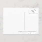 Het Man van het tin bij het Briefkaart van (Achterkant)