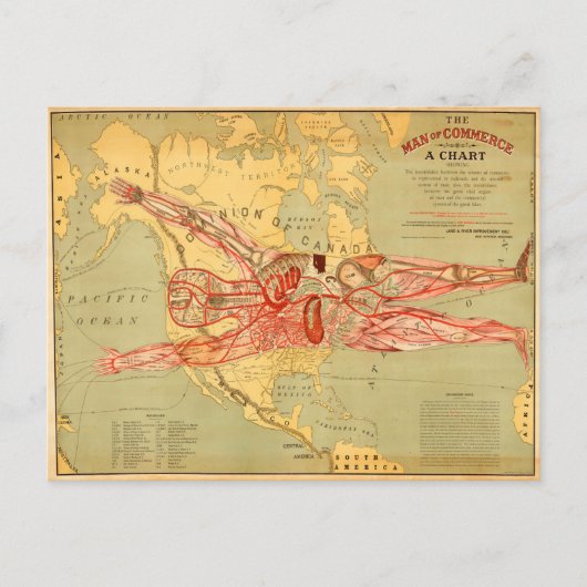 Het Man van Koophandel van de Verenigde Staten (18 Briefkaart (Voorkant)