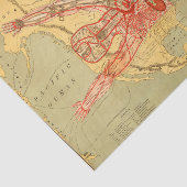 Het Man van Koophandel van de Verenigde Staten (18 Tissuepapier (Detail)