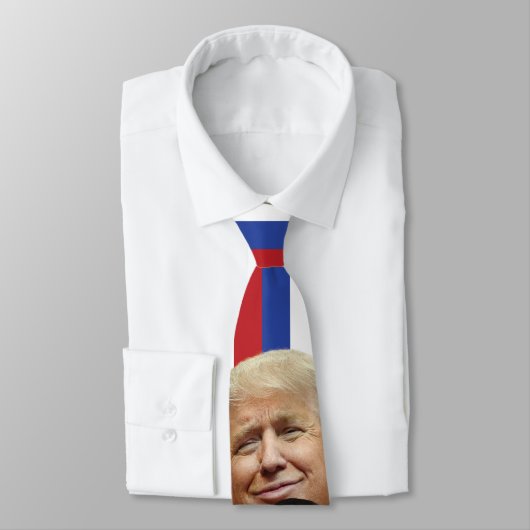 Het Manafort Stropdas (Gebonden)