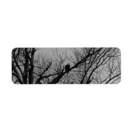 Het mannelijke Nemende Horloge Etiket