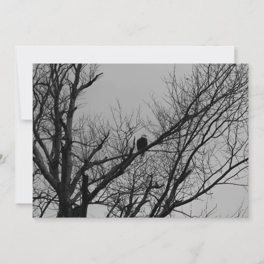 Het mannelijke Nemende Horloge Kaart (Voorkant)