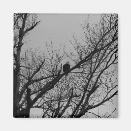 Het mannelijke Nemende Horloge Magneet