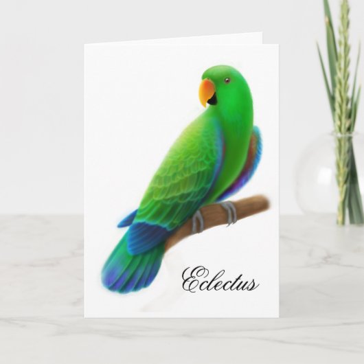 Het mannelijke Wenskaart van de Papegaai Eclectus Kaart (Voorkant)
