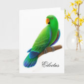 Het mannelijke Wenskaart van de Papegaai Eclectus Kaart (Gele Bloem)