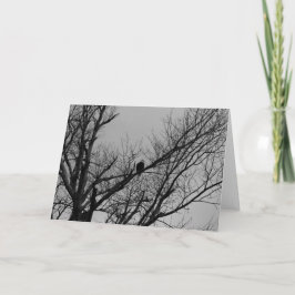 Het mannetje neemt de wacht kaart