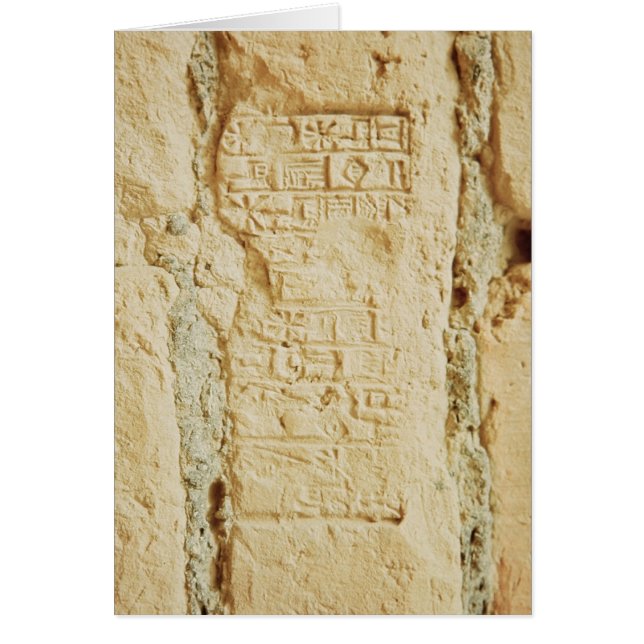 Het manuscript van Cuneiform op een palace muur (Voorkant)