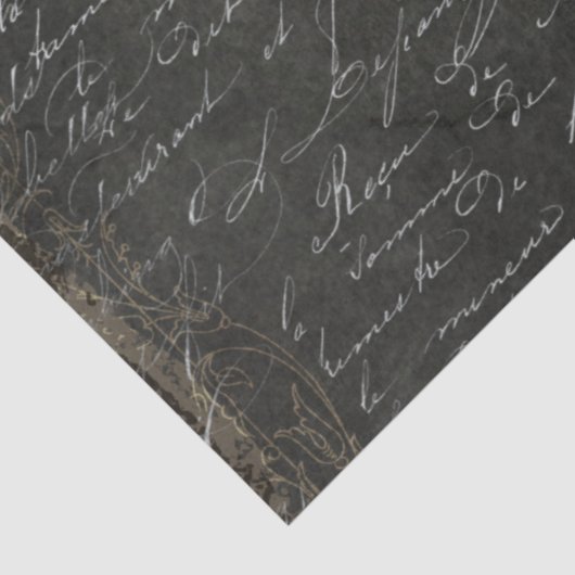 Het Manuscript van het Manuscript van Parijs Zwar Tissuepapier (Detail)