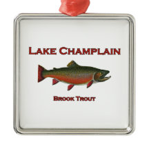 Het meer ChamPlain Vist Brook Trout