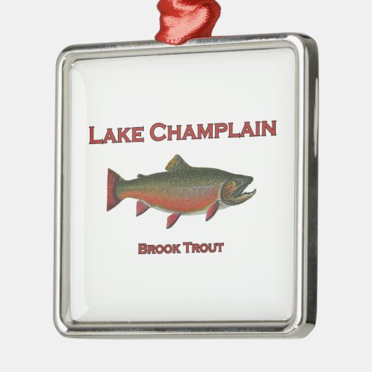 Het meer ChamPlain Vist Brook Trout Metalen Ornament (Links)