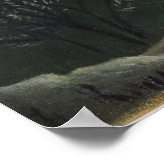 Het meer Daumesnil van Henri Rousseau,  Kunst Poster (Hoek)