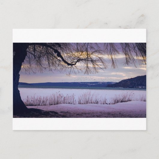Het meer van Cayuga / Ithaca Briefkaart (Voorkant)