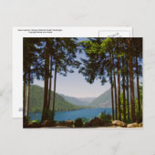 Het meer van Cushman in de zomer Briefkaart (Voorkant / Achterkant)