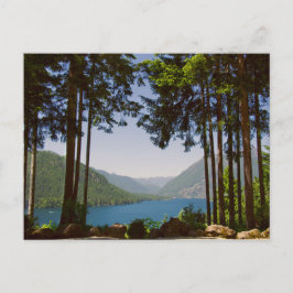 Het meer van Cushman in de zomer Briefkaart