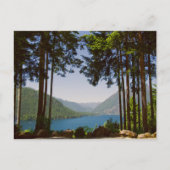 Het meer van Cushman in de zomer Briefkaart (Voorkant)