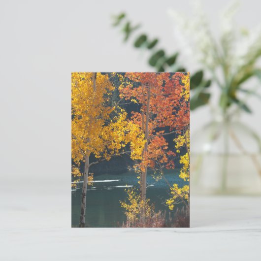 Het Meer van de bever (Meren Mesa) in de Herfst Briefkaart (Staand voorkant)