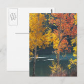 Het Meer van de bever (Meren Mesa) in de Herfst Briefkaart (Voorkant / Achterkant)