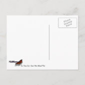 Het meer van de twee oceaan in het nationale park briefkaart (Achterkant)