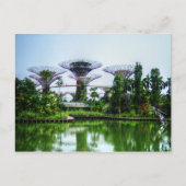 Het meer van Supertrees en van de libel Briefkaart (Voorkant)