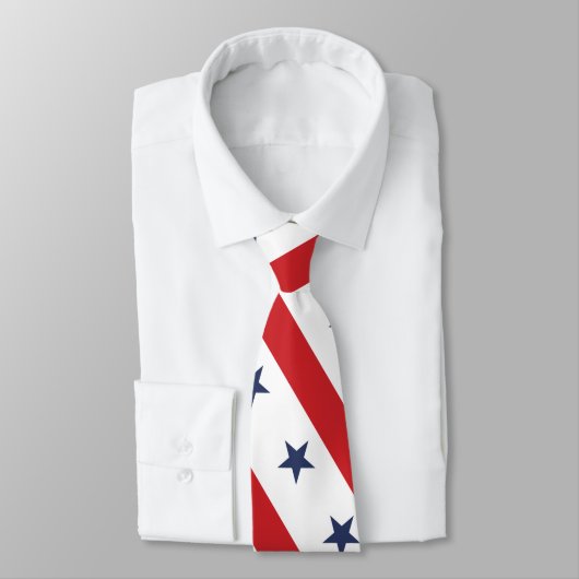 Het meest patriottische amerikaanse White II-Sierk Stropdas (Gebonden)