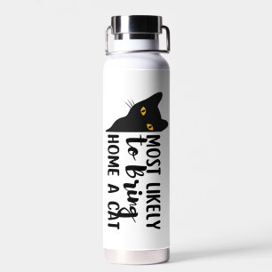 Het meest waarschijnlijke om een kat thuis te bren waterfles