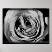 Het meisje poster (Voorkant)