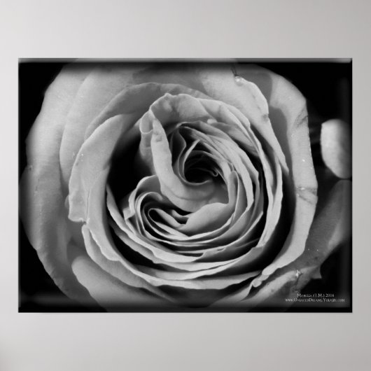 Het meisje poster (Voorkant)