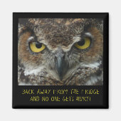 Het mengen Owl Foto - PERFECT DIET MAGNET! Magneet (Voorkant)