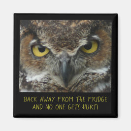 Het mengen Owl Foto - PERFECT DIET MAGNET! Magneet