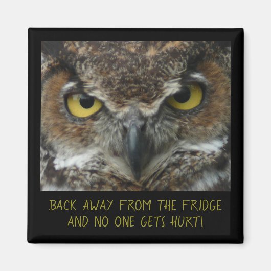 Het mengen Owl Foto - PERFECT DIET MAGNET! Magneet (Voorkant)