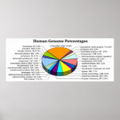 Het menselijk genoom met het aantal en het percent poster (Voorkant)