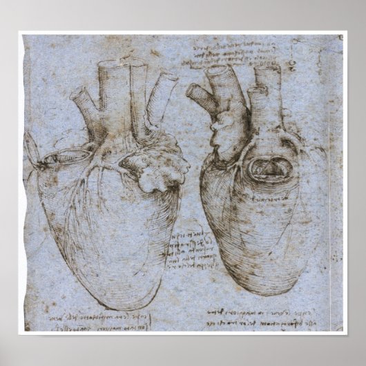 Het menselijk hart, Leonardo da Vinci Poster (Voorkant)