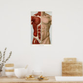 Het menselijk lichaam poster (Keuken)