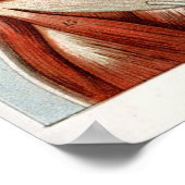 Het menselijk lichaam poster (Hoek)