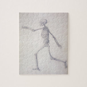 Het menselijk skelet, lateraal uitzicht, uit de se legpuzzel